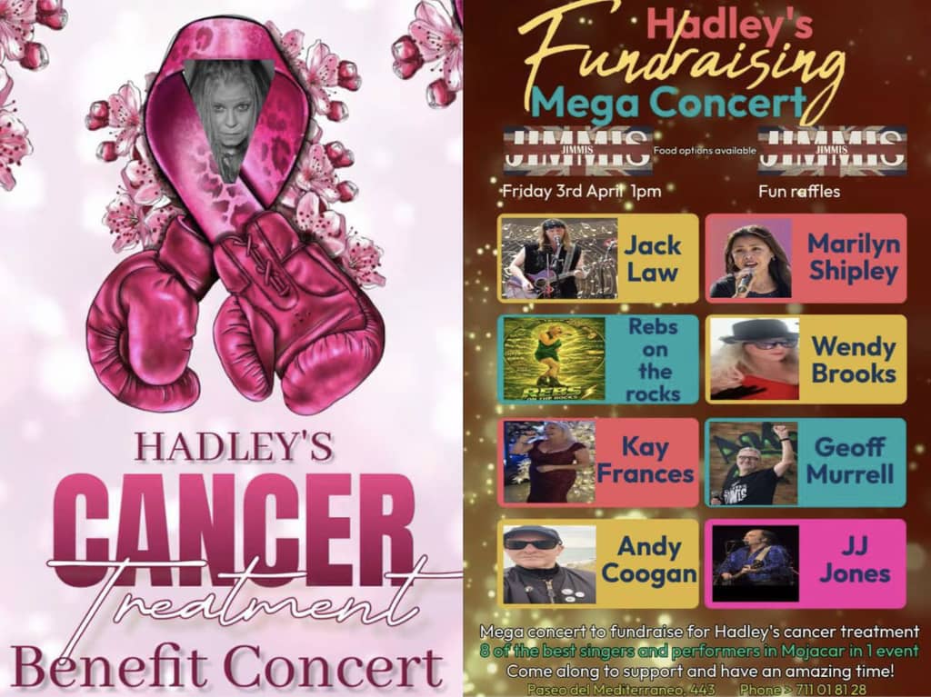 Poster for Mega Concert for Hadley